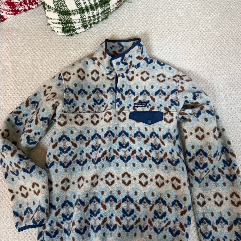 Patagonia Blue and Brown Patterned Hoodie
